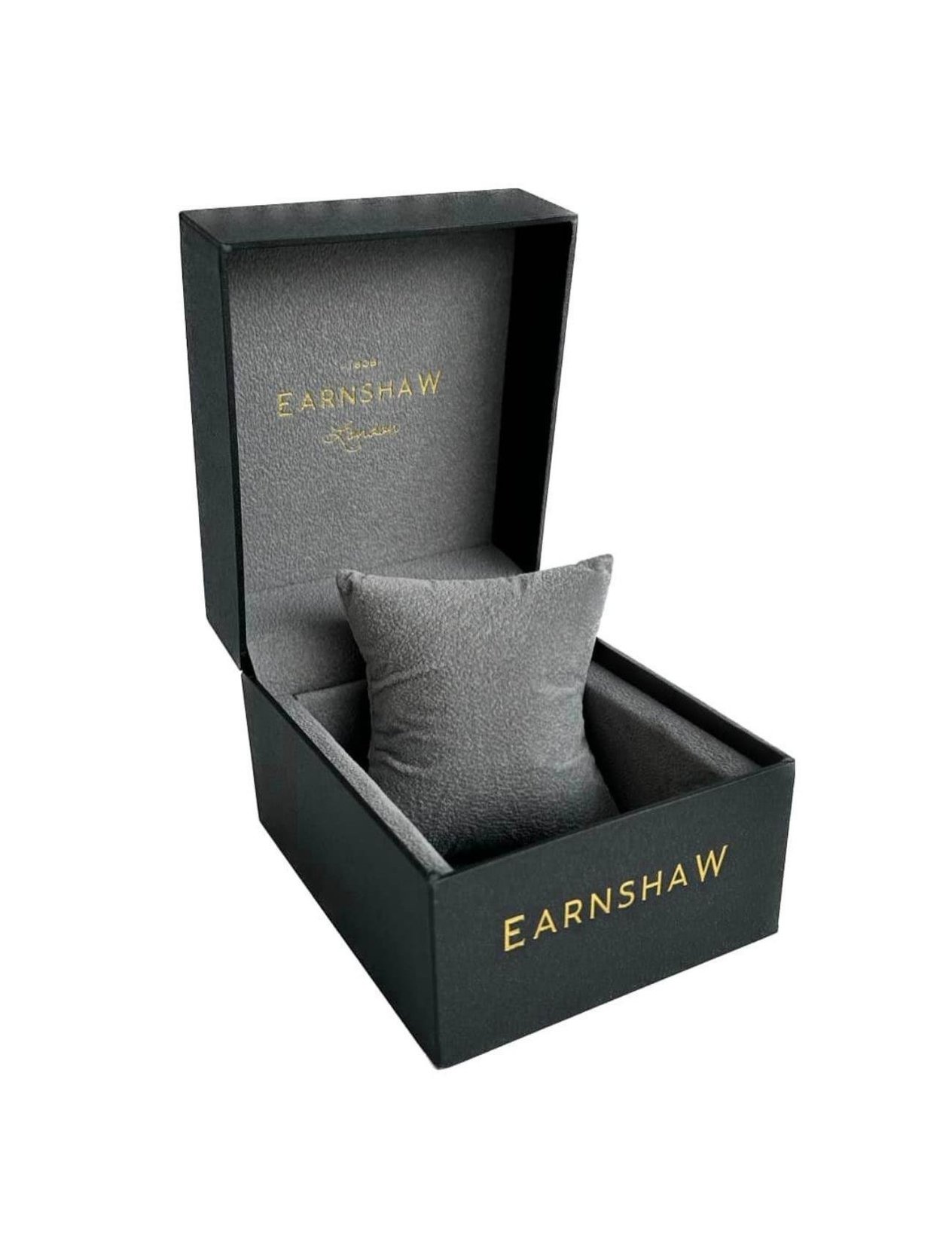 EARNSHAW ES-8254-01 25 Erkek Kol Saati