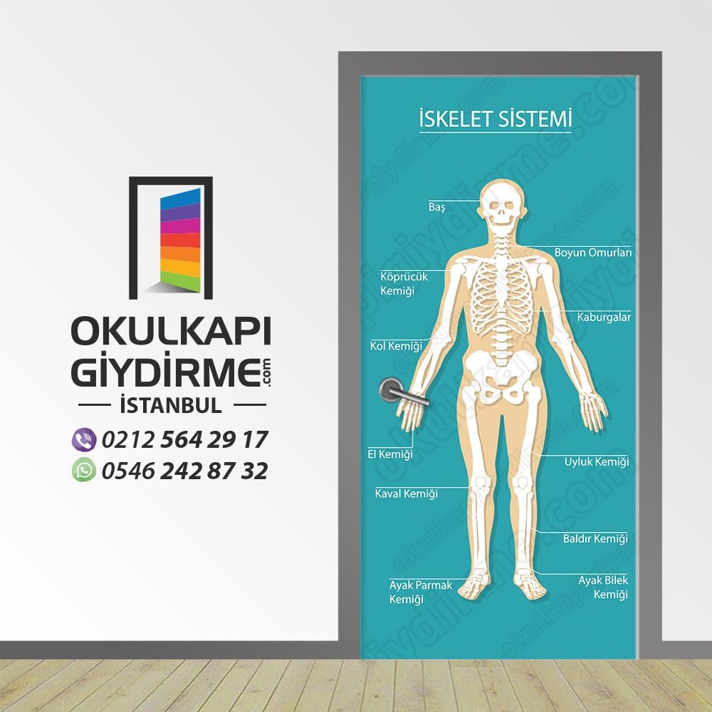 Kapı Giydirme İskelet Sistemi KG BİY 13