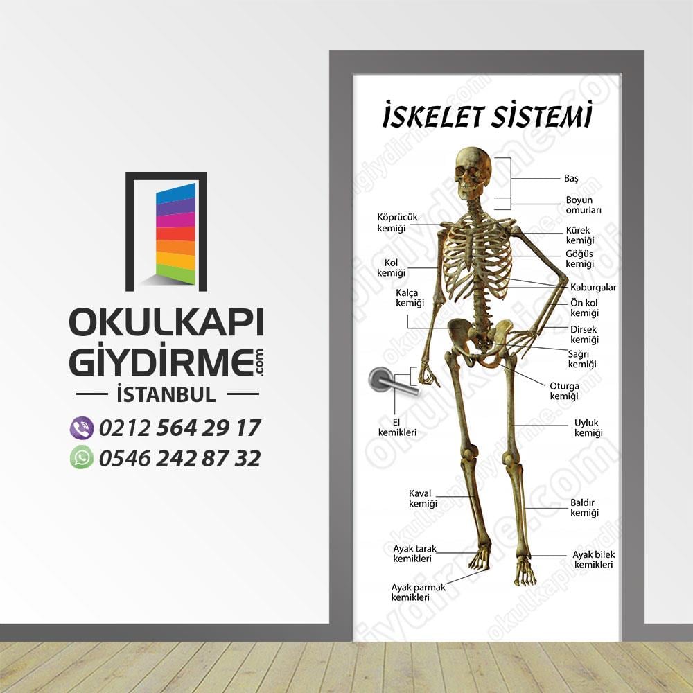Kapı Giydirme İskelet Sistemi KG S 04