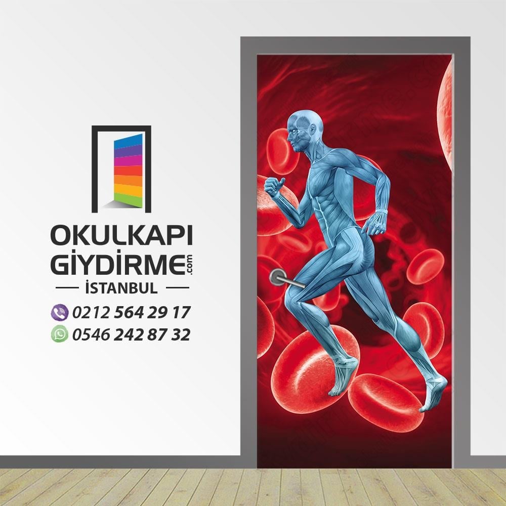 Kapı Giydirme Sağlık KG S 41