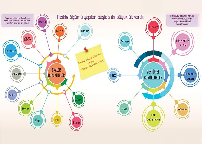 Skaler ve Vektörel Büyüklükler P FİZ 31