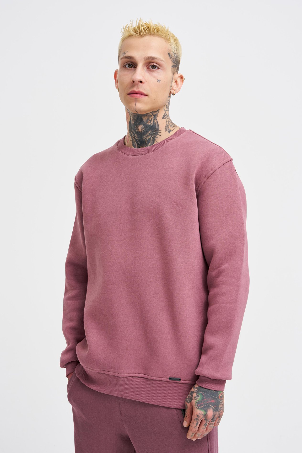 Erkek Bisiklet Yaka Basic Regular Mürdüm Sweatshirt