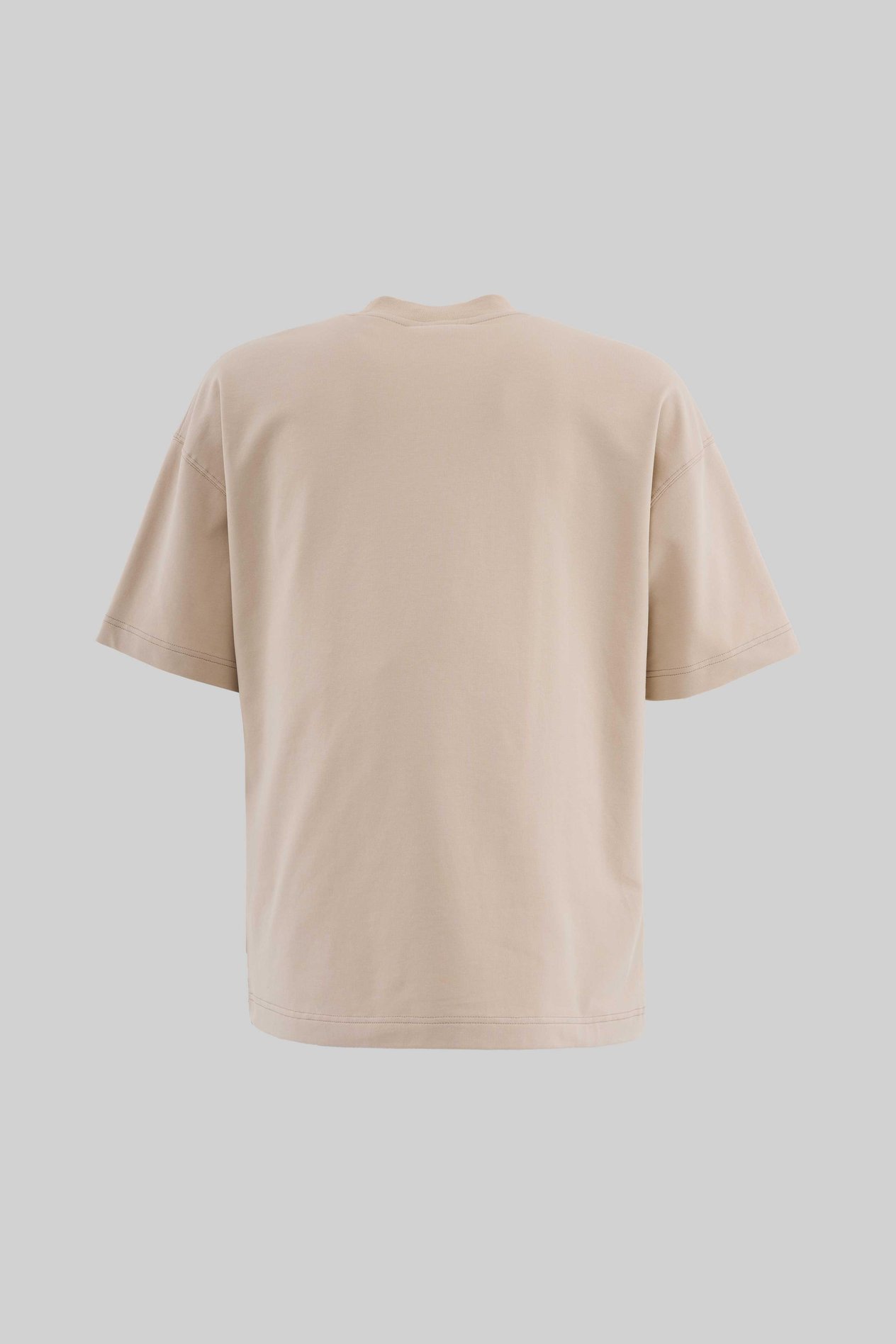 Erkek Parrot Embroidered Oversi̇ze Ti̇şört SOFT BEIGE