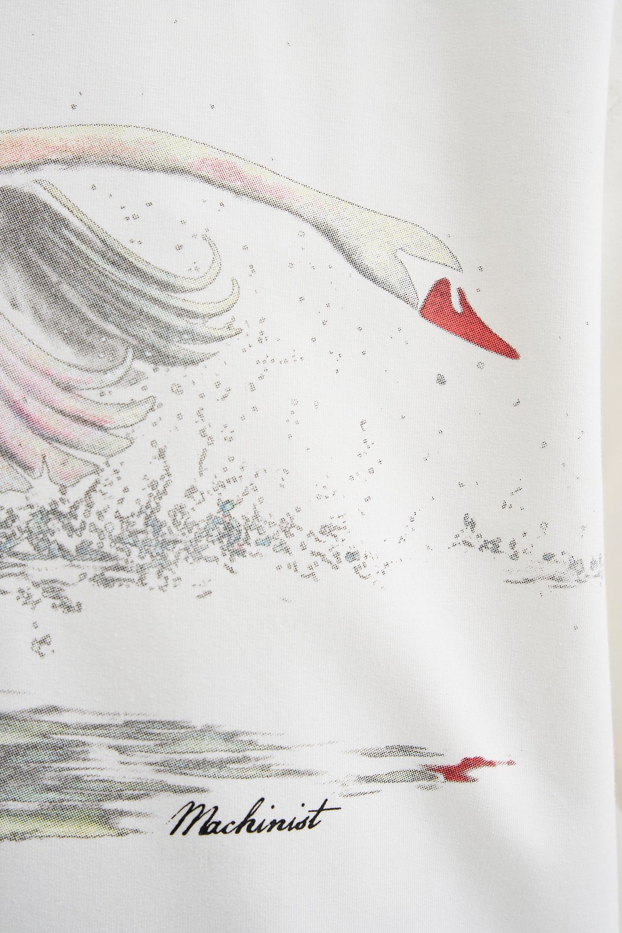 Erkek Swan Printed Oversi̇ze Ti̇şört ECRU