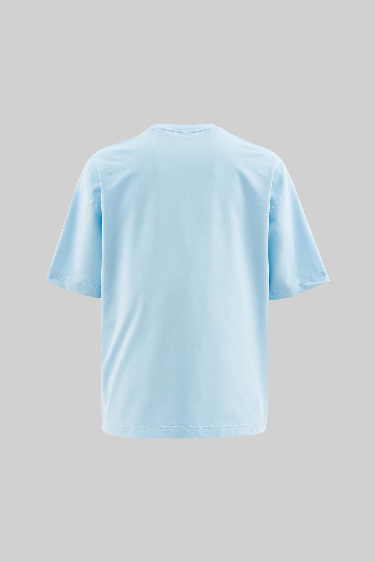Erkek Swan Printed Oversi̇ze Ti̇şört LIGHT BLUE