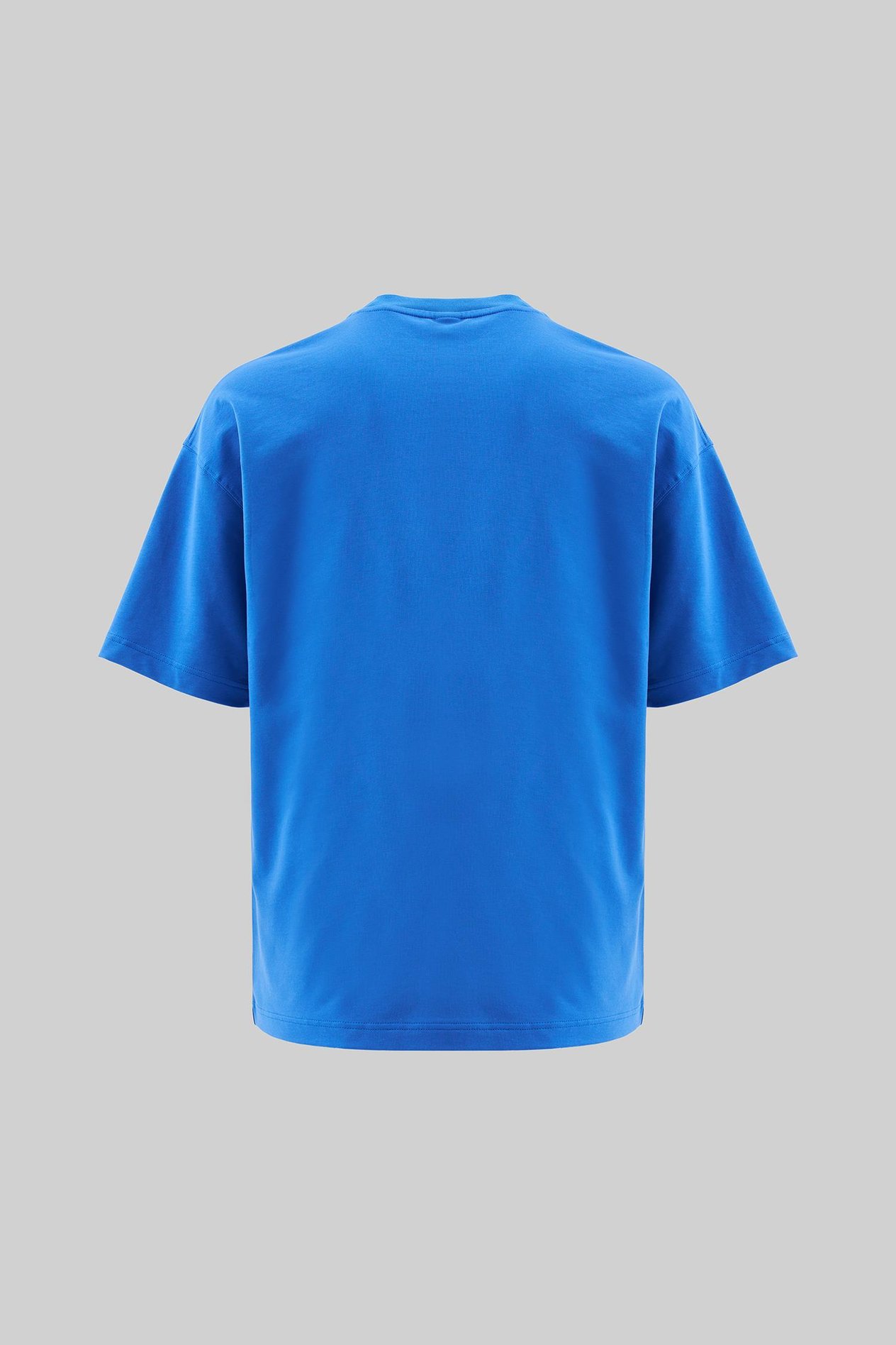 Erkek Swan Printed Oversi̇ze Ti̇şört SOFT BLUE