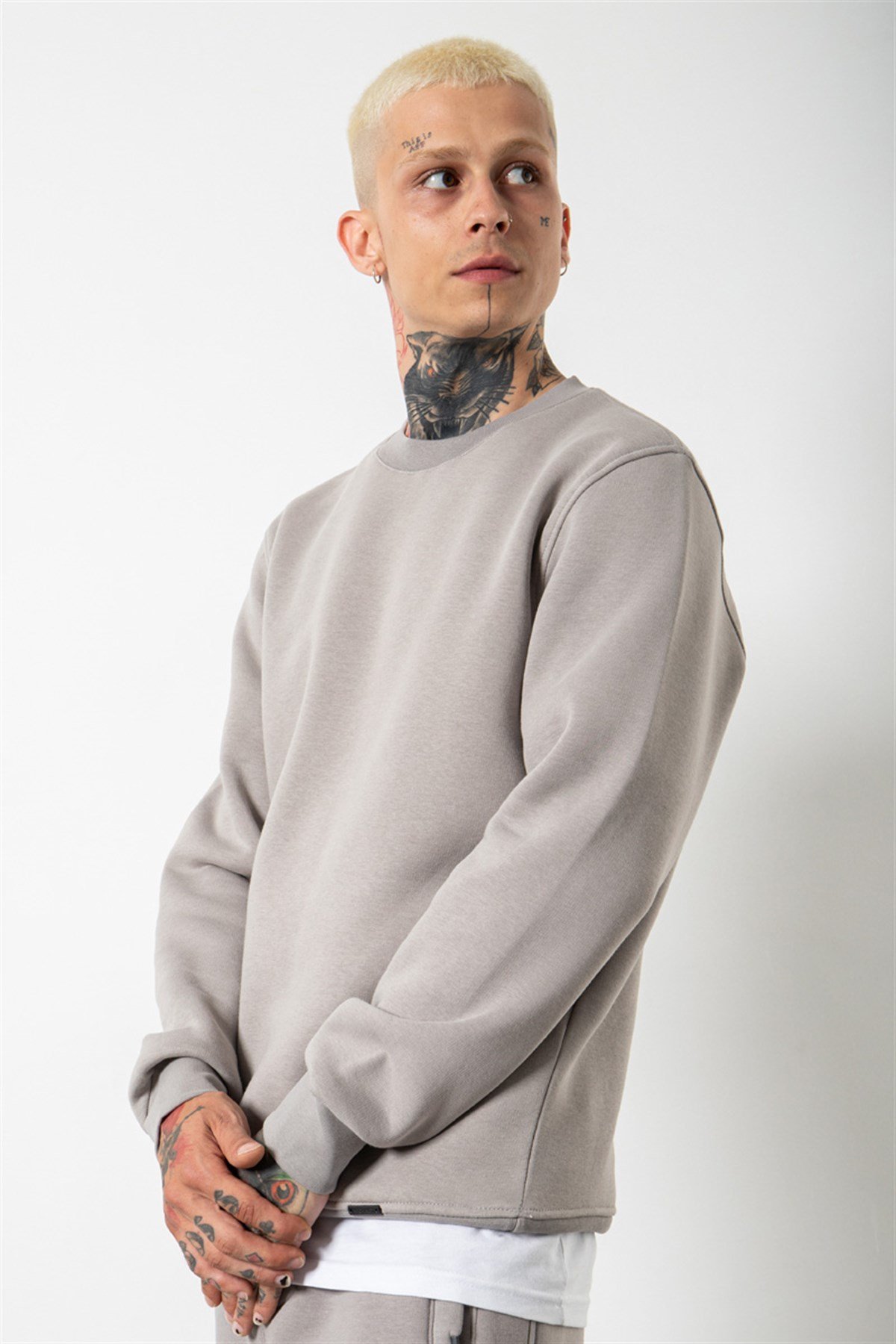 Regular Bisiklet Yaka Basic Sweatshirt ICE GRİ