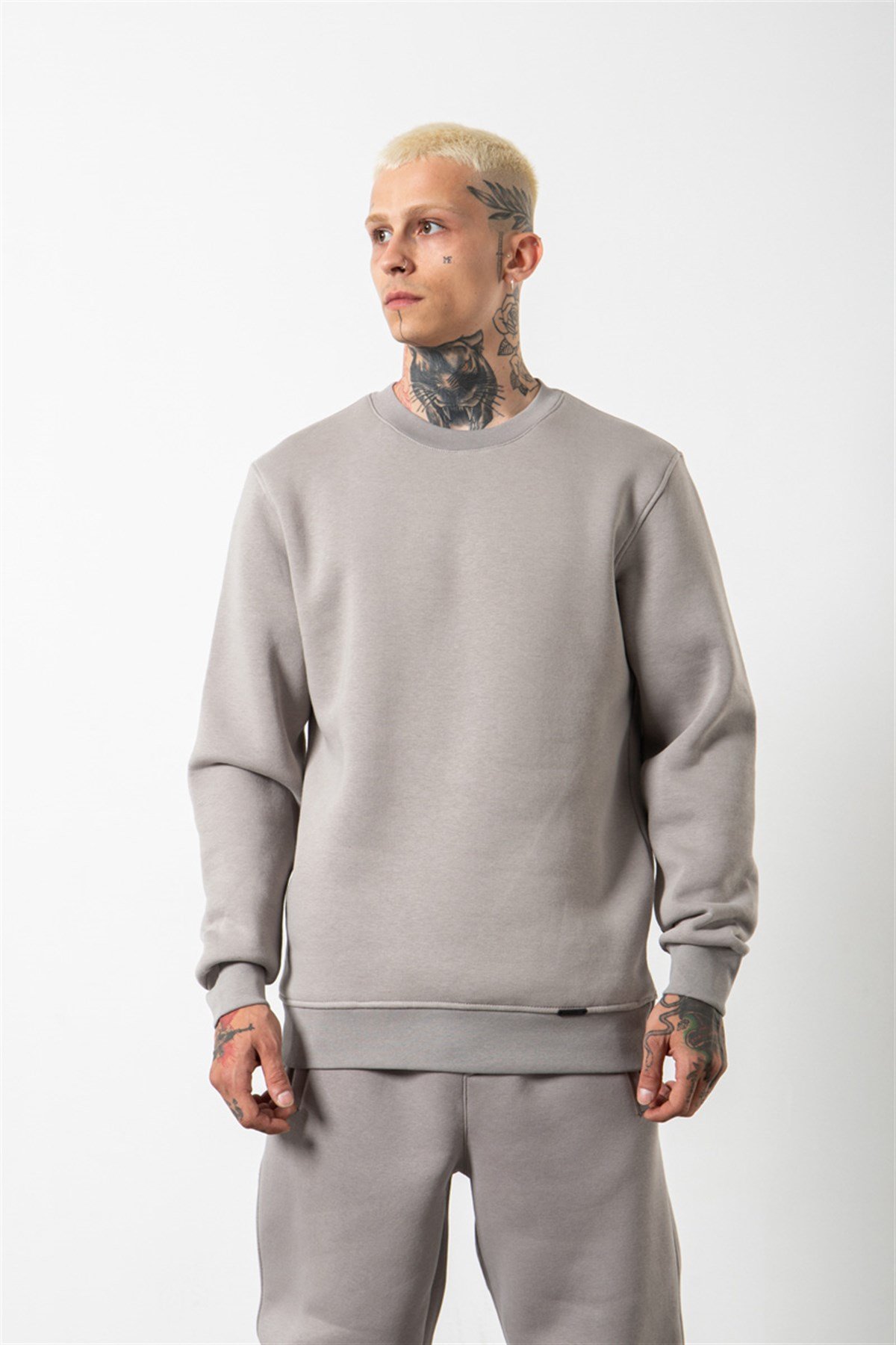 Regular Bisiklet Yaka Basic Sweatshirt ICE GRİ