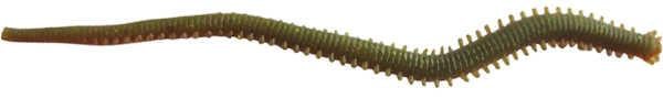 Berkley Gulp Alive Nereis Kokulu Silikon Kurt 15cm (14 Ad)