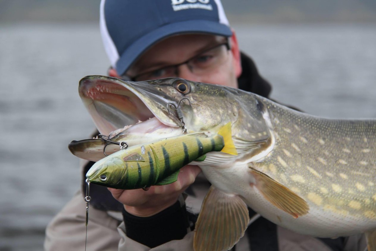 Duo Realis Onimasu CCC3827 Gizzard Shad ND