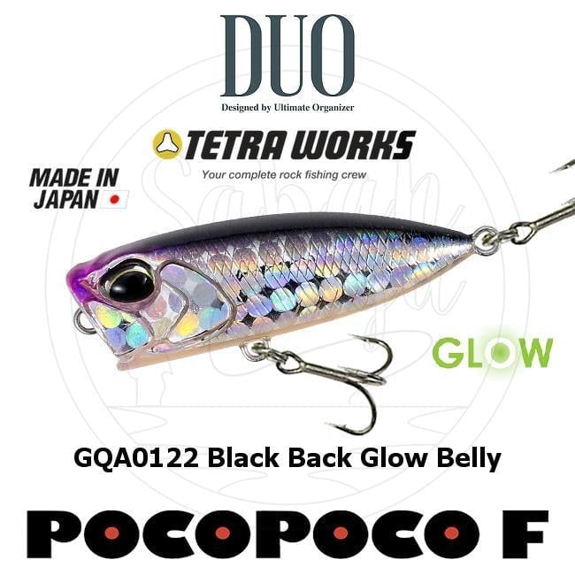 Duo Tetra Works Pocopoco 40F GQA0122 Black Back Glow Belly