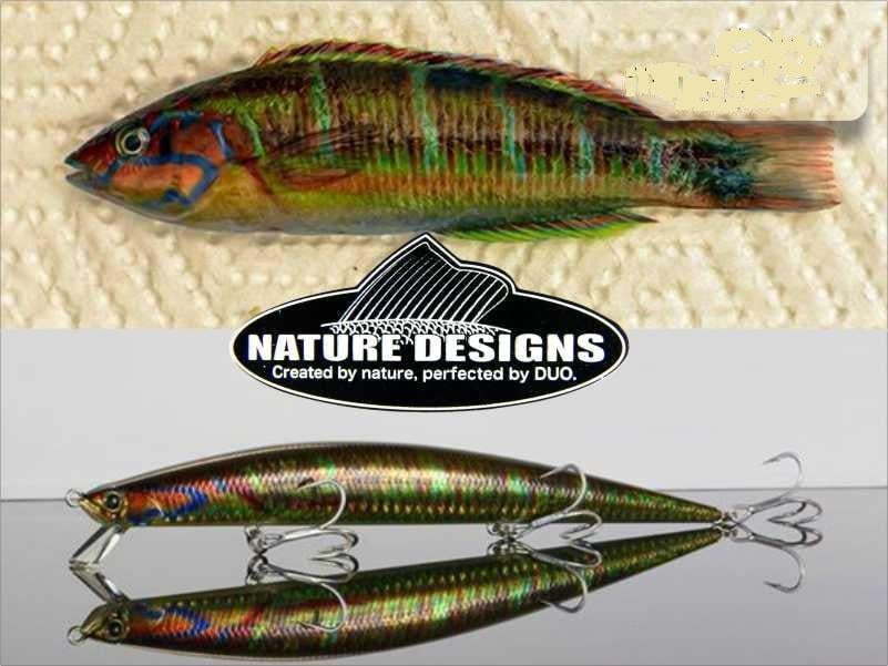 Duo Tide Minnow Slim 140 FLYER AHA0817 Wrasse ND