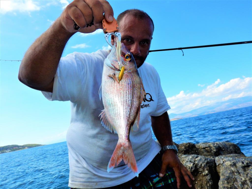 Zenaq Damper S76 (RG) 237 cm 0.5 - 18 gr. LRF / Spin Olta Kamış