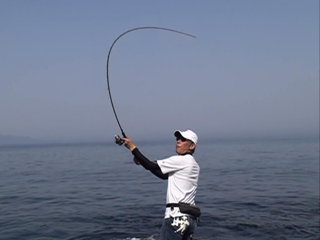 Zenaq Gahoujin AG80 Parabolic (RG) 244cm 13-28gr Spin Kamış