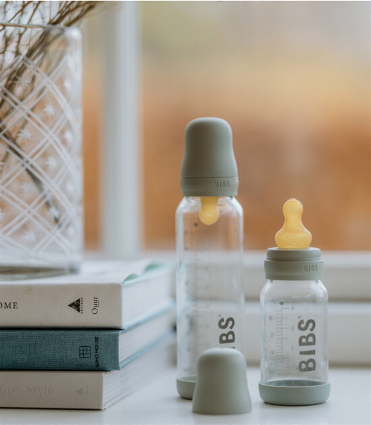 Bibs Cam Biberon Seti, Sage (110 ml)