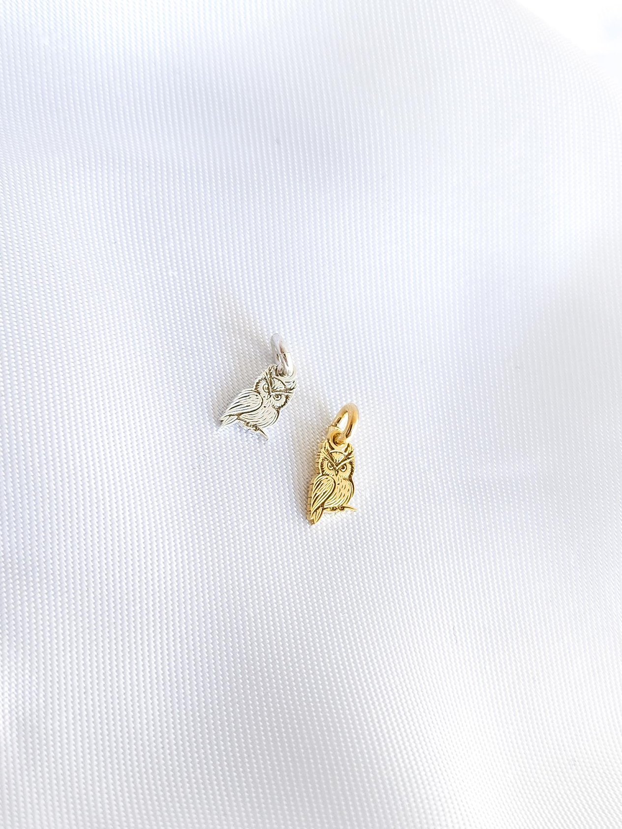 Baykuş Charm
