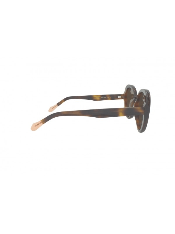 PAPARYPAPARY P396 238 GPAPARY P396 238 Kadın Güneş GözlüğüPAPARY P396 238 Kadın Güneş Gözlüğü