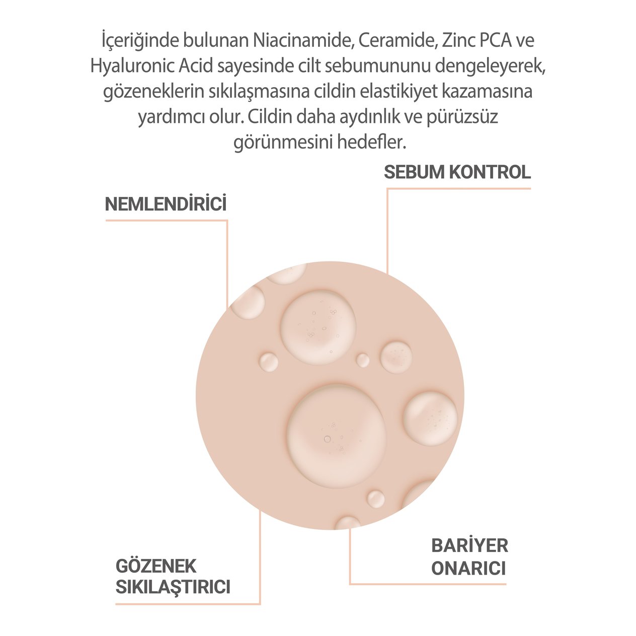 Cliniclab %10 Niacinnamide and %5 Ceramide Serum 30 mL