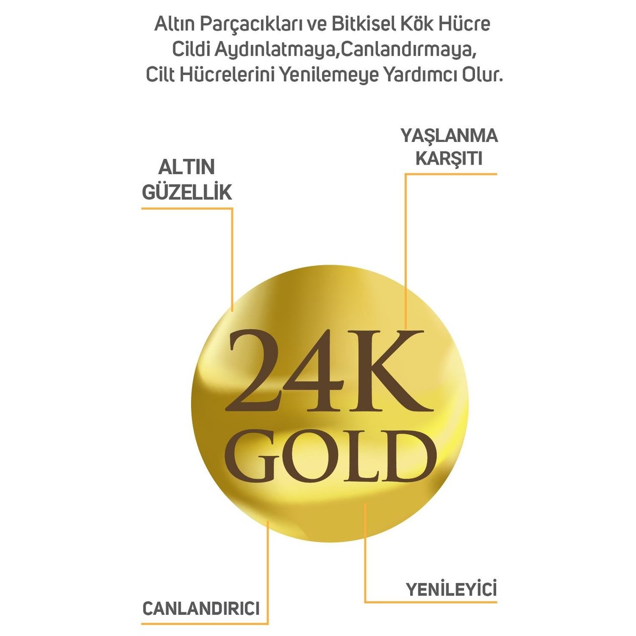 ClinicLab 24K Gold Altın Parçacıklı Yaşlanma Karşıtı Bakım Serumu 30 Ml