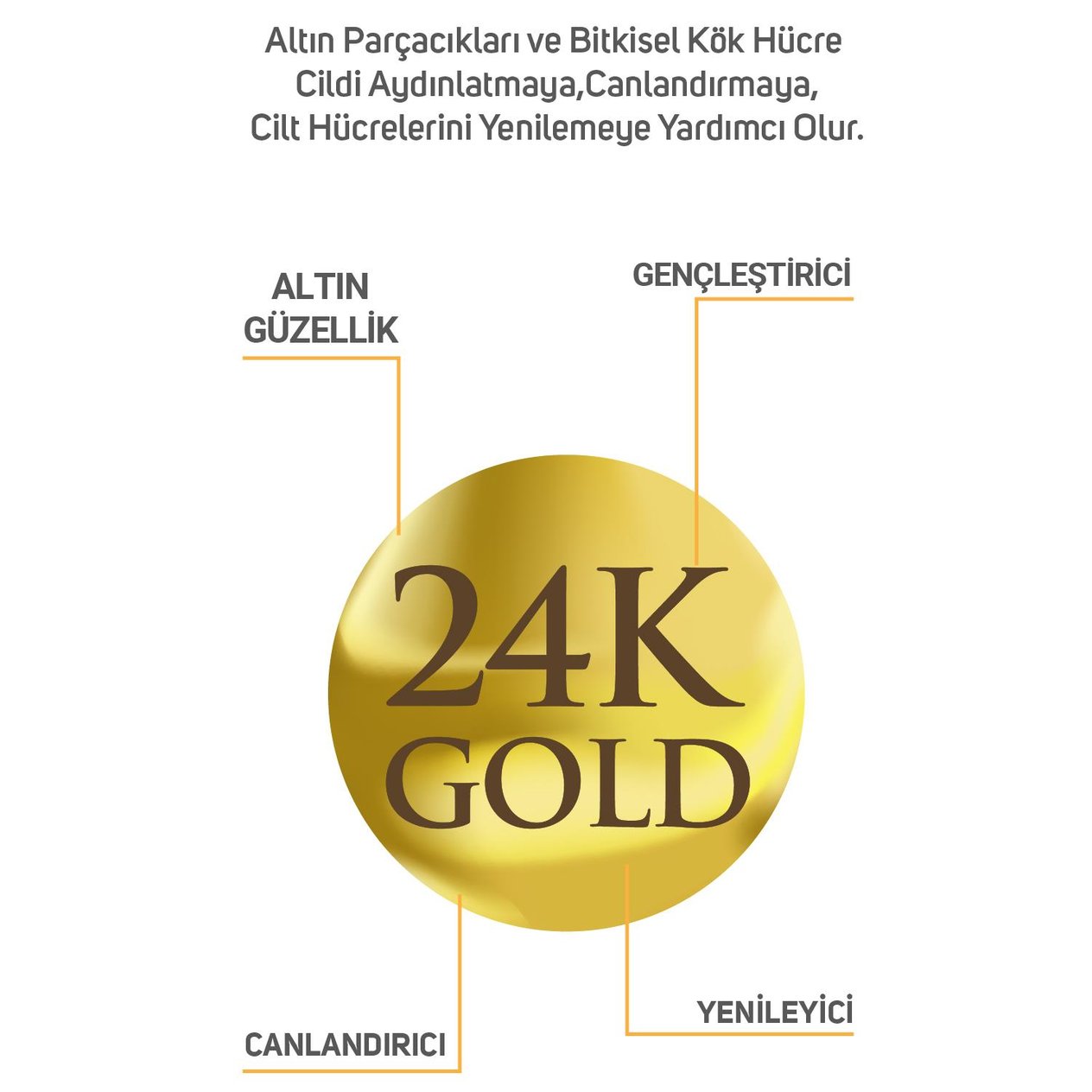ClinicLab 24K Gold Altın Parçacıklı Yaşlanma Karşıtı Bakım Yağı 30 ML