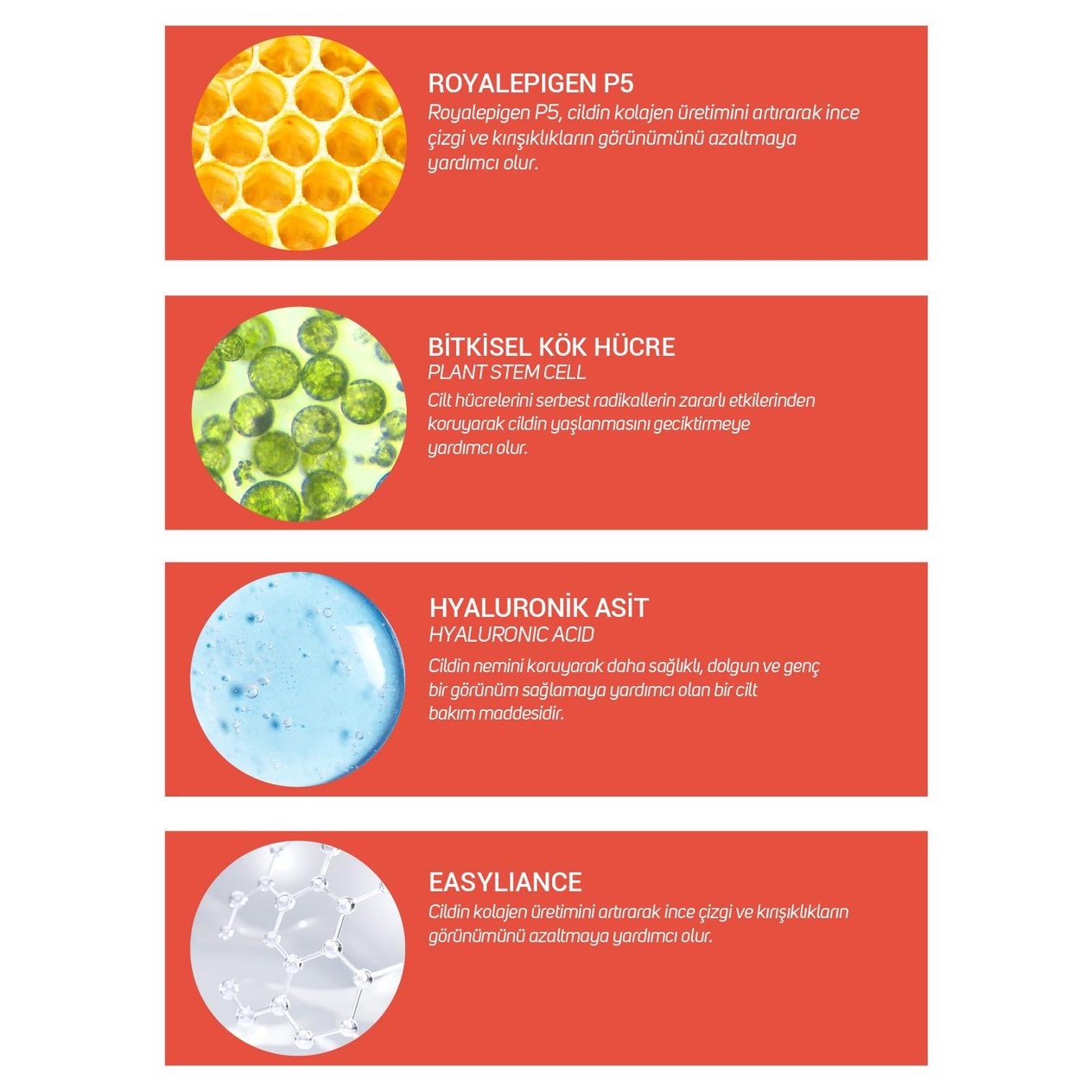 ClinicLab Yaşlanma Karşıtı ve Sıkılaştırıcı Krem 50 ml