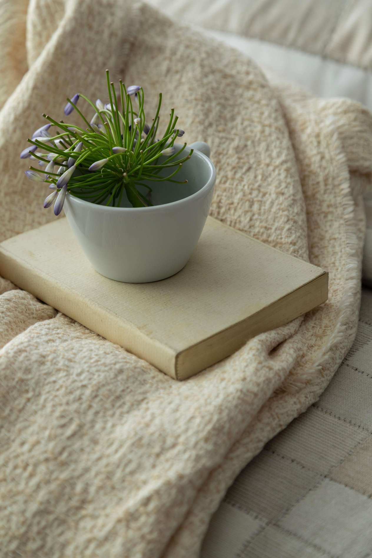 APRICITAS HOME C.K TIMELESS PRIME SET PIAZZA BEIGE