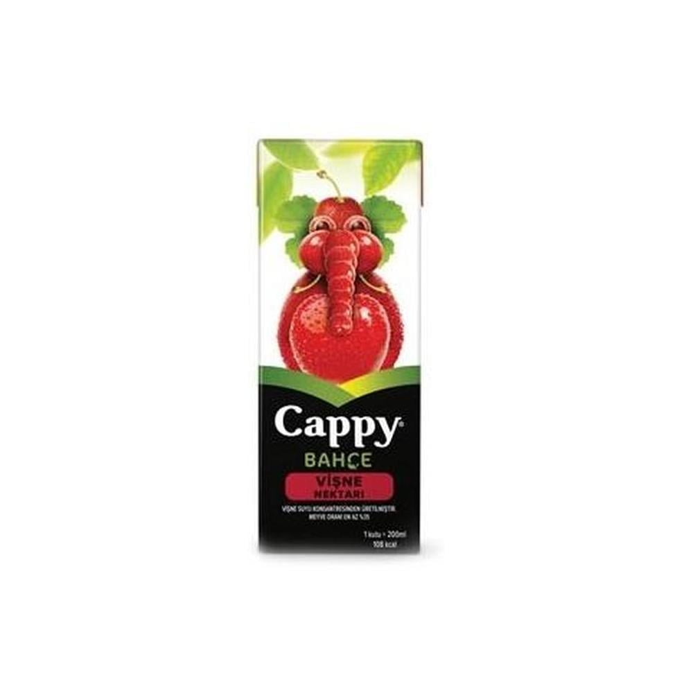 CAPPY M.SUYU VISNE 200 ML