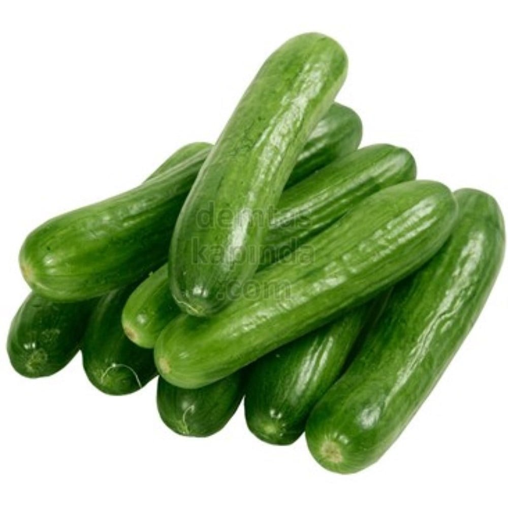 SALATALIK SILOR