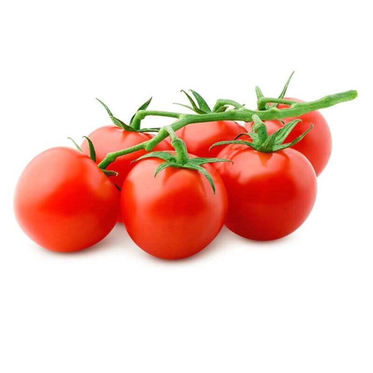 Salkım Organik Domates (Kg) 