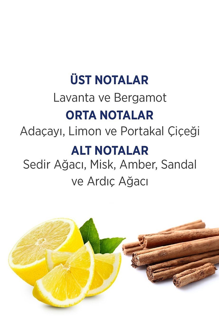 First Class - FIRST CLASS EDT 100 ML