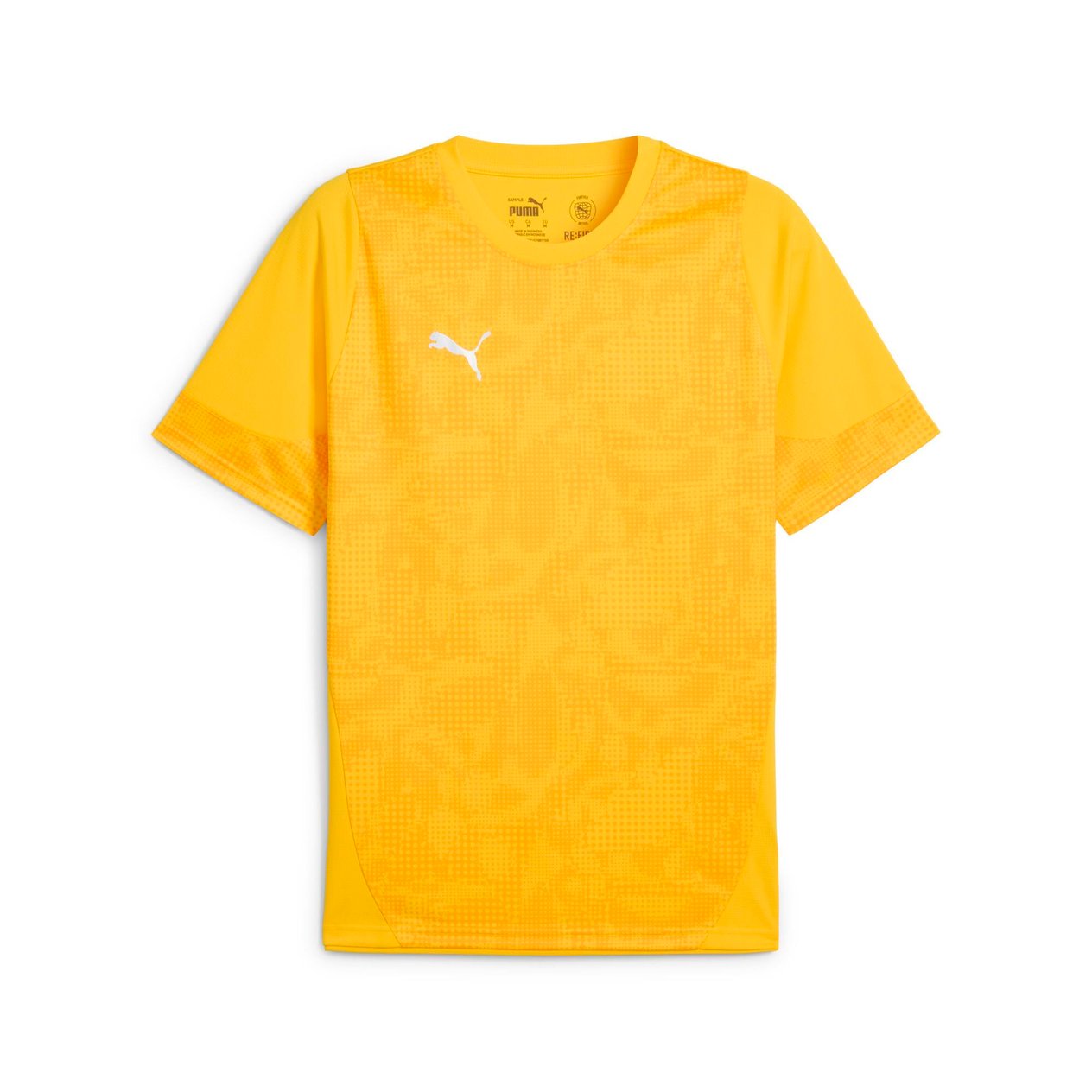 Puma teamCUP 25  Antrenman Tişört 659167-07