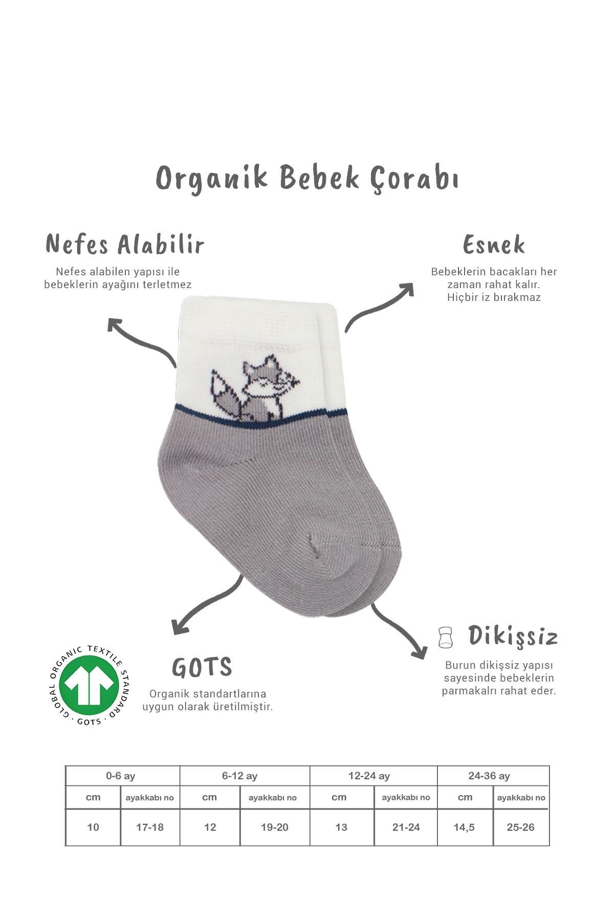 Soket ÇorapBisyleBistil Bistyle Organik Dikişsiz 3lü Fox Penye Soket Bebek Çorap 0-3 Ay