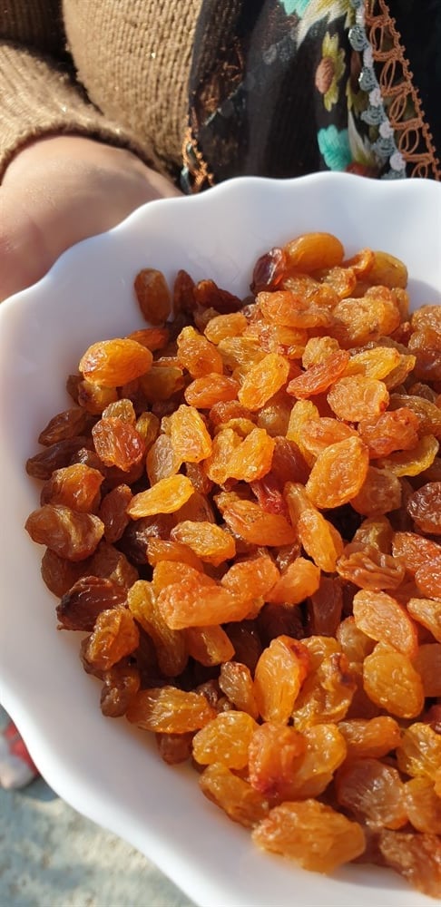 ÇEKİRDEKSİZ KURU ÜZÜM   (1 KG)