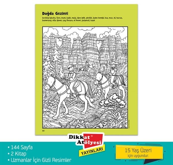 Uzmanlar İçin Hidden Pictures 2'li Set 15+Yaş