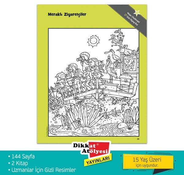 Uzmanlar İçin Hidden Pictures 2'li Set 15+Yaş