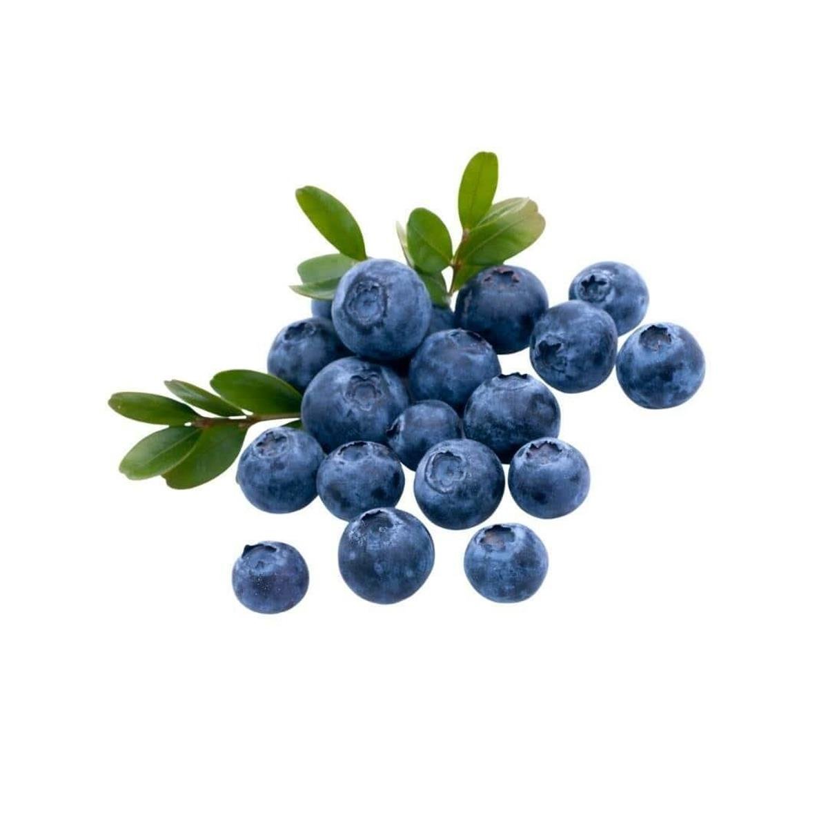 ENMANAV taze yaban mersini (125gr) 