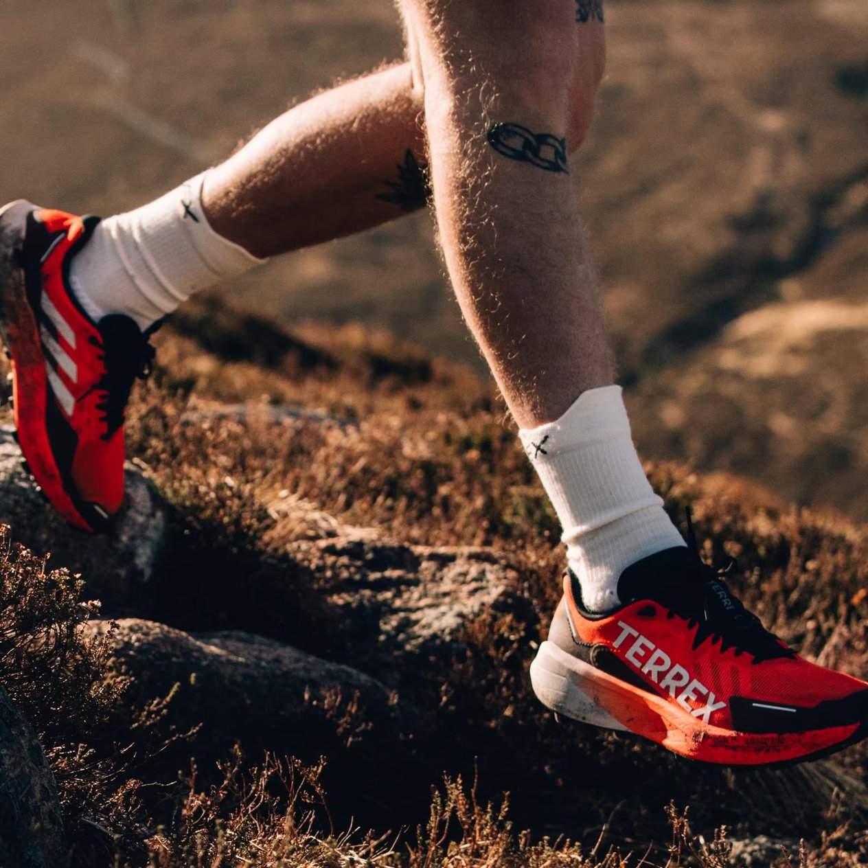 adidas Terrex Agravic 3 Trail Erkek Koşu Ayakkabısı