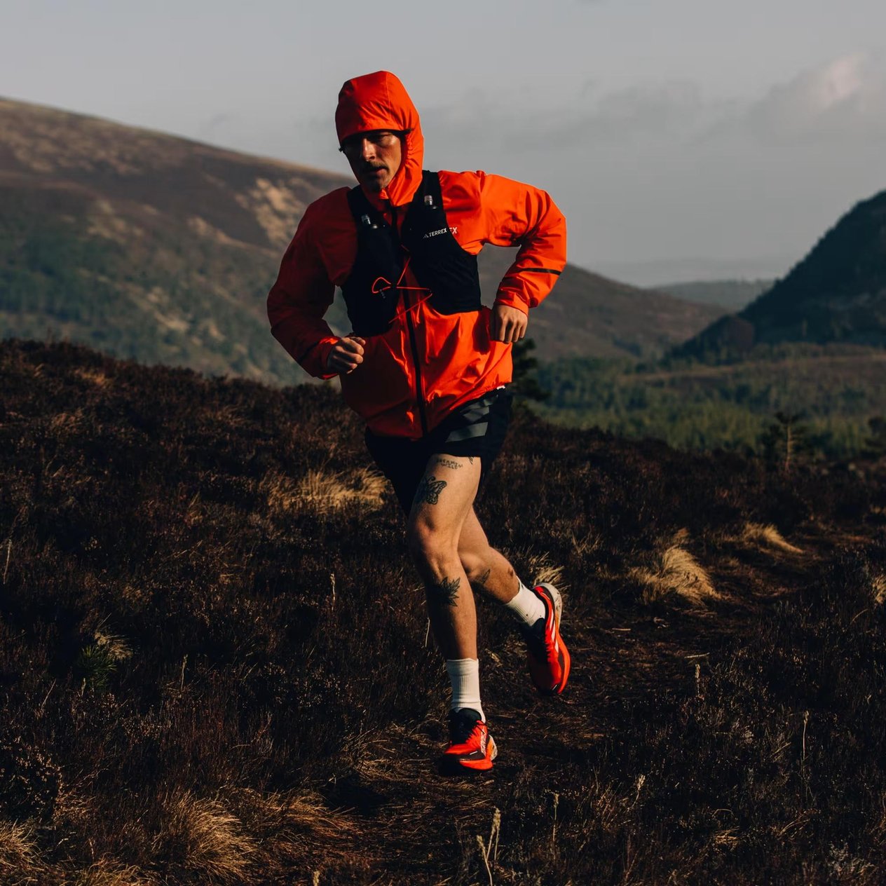 adidas Terrex Agravic 3 Trail Erkek Koşu Ayakkabısı