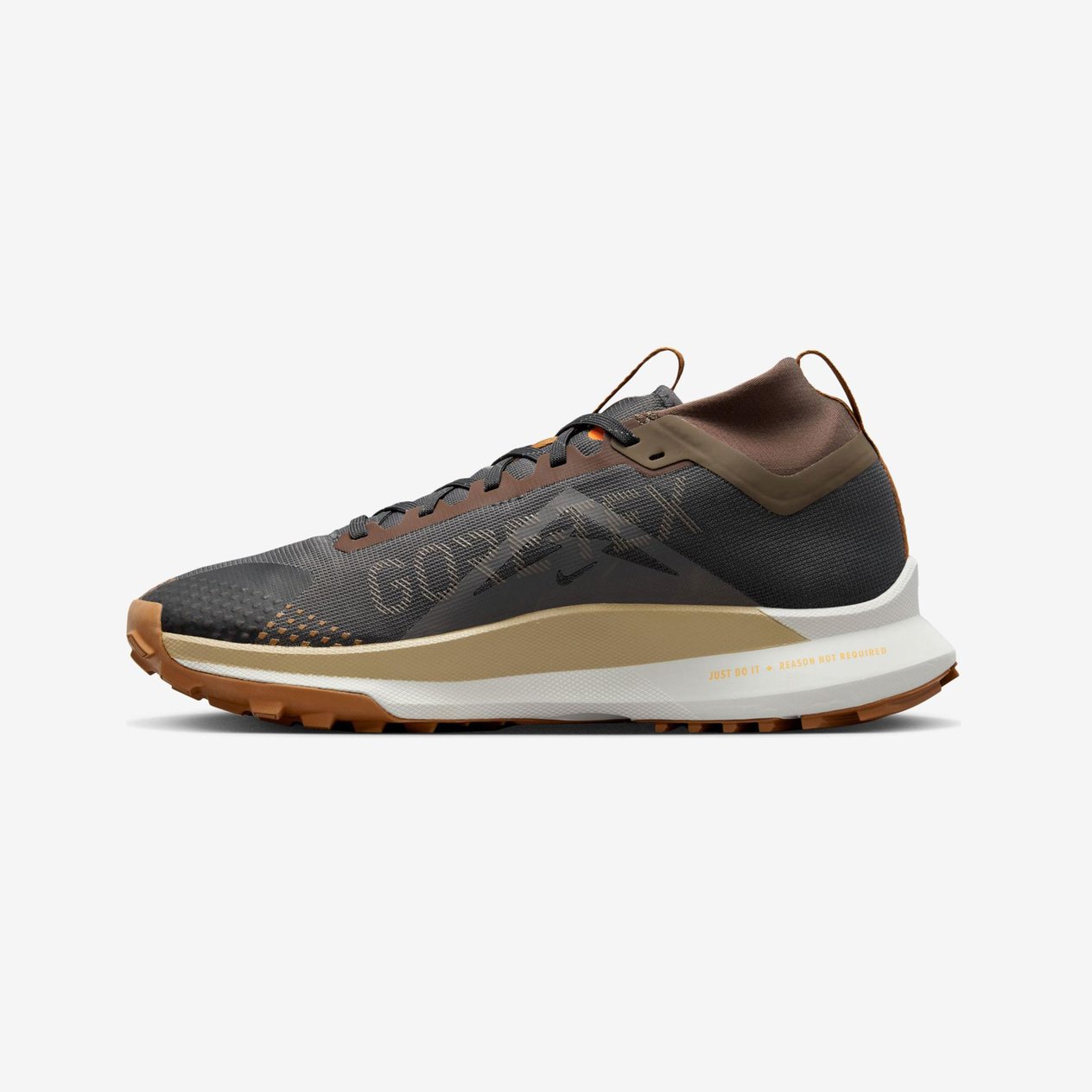 Nike Pegasus Trail 4 Gore Tex Erkek Koşu Ayakkabısı
