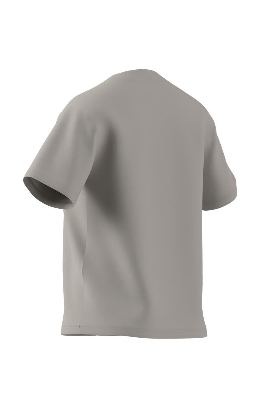 adidas Gri Kadın   T-shirt W SL SJ T JI6079