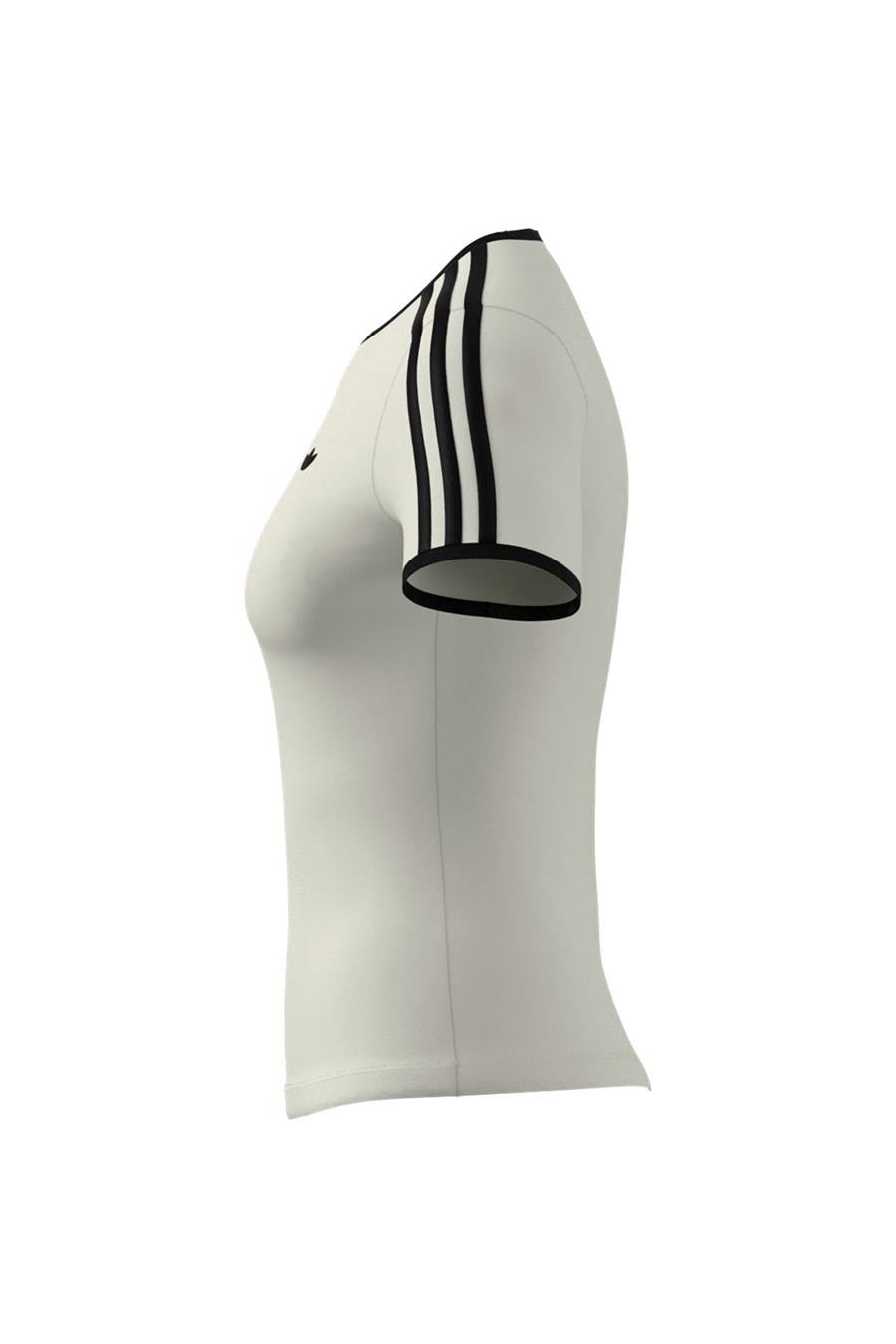 adidas Kadın   T-shirt 3S CALI TEE JD5467
