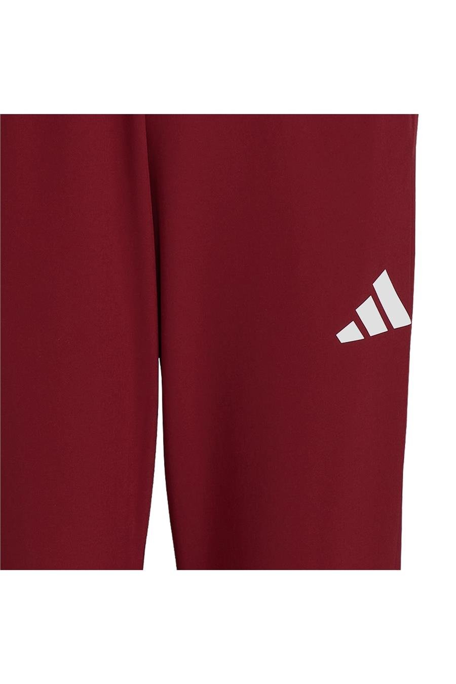 adidas TURKIYE P PNT M Erkek   Eşofman Altı JH0784