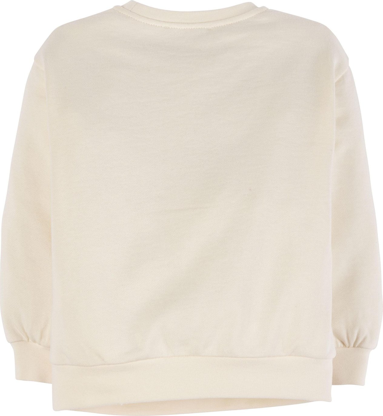 Sweatshirt 17941