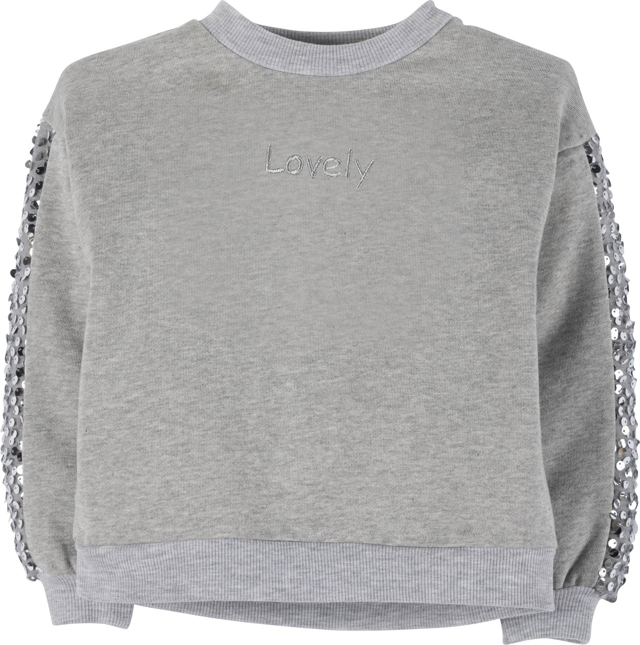 Sweatshirt 17979