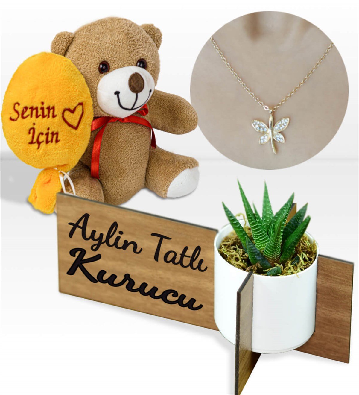Ballon-Teddybär, vergoldete Halskette und personalisierter Desktop-Blumentopf mit saftiger Howartia-Blume