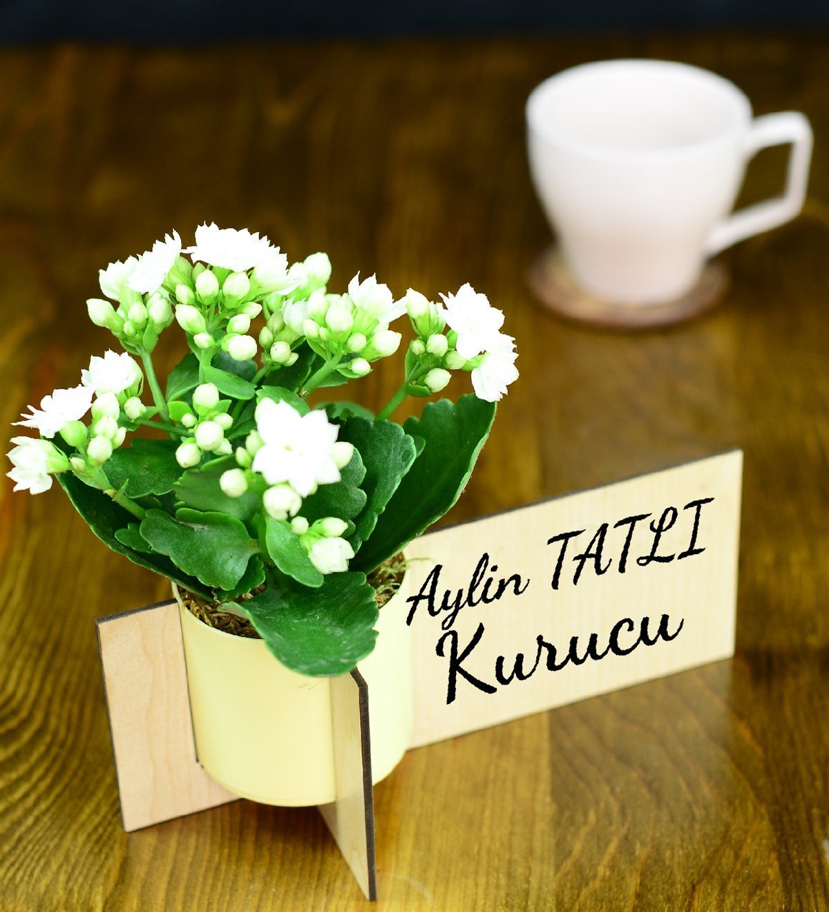 Kişiye Özel Ahşap İsimlik Kalanchoe Çiçeği Fiyatı