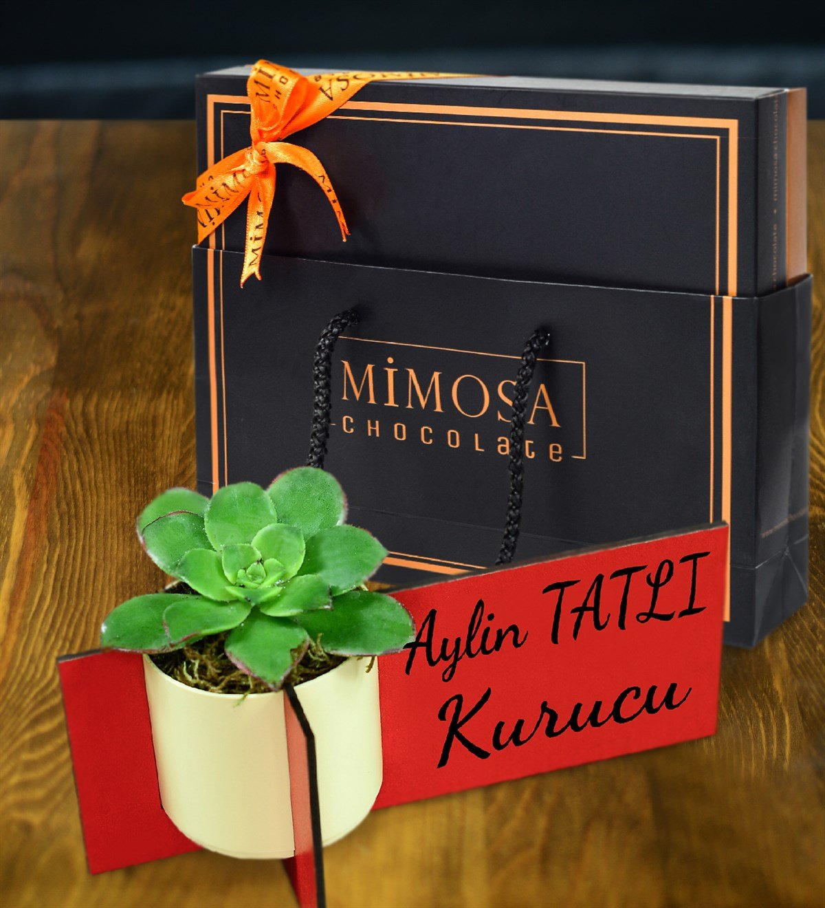 Personalisiertes Namensschild aus Holz mit Sukkulenten-Echeveria und Mimosa-Schokolade