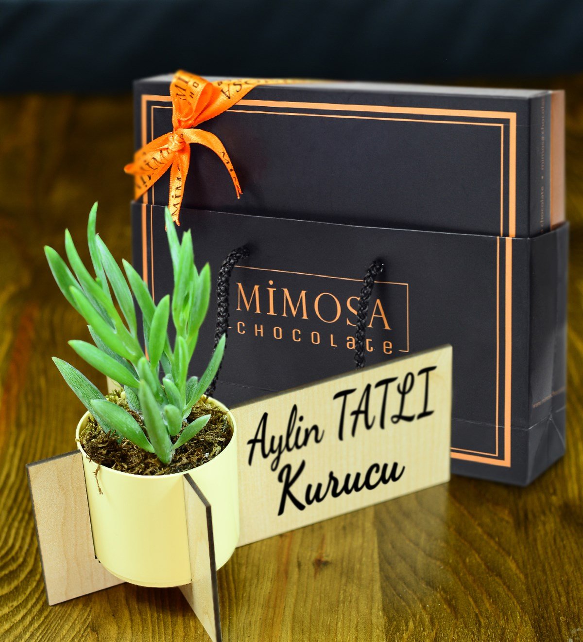 Kişiye Özel Ahşap İsimlik Sukulent & Mimosa Chocolate Fiyatı