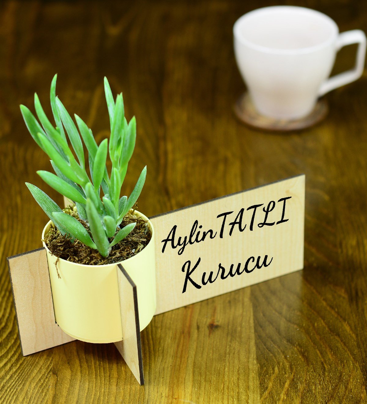 Kişiye Özel Ahşap İsimlik Sukulent & Mimosa Chocolate Fiyatı