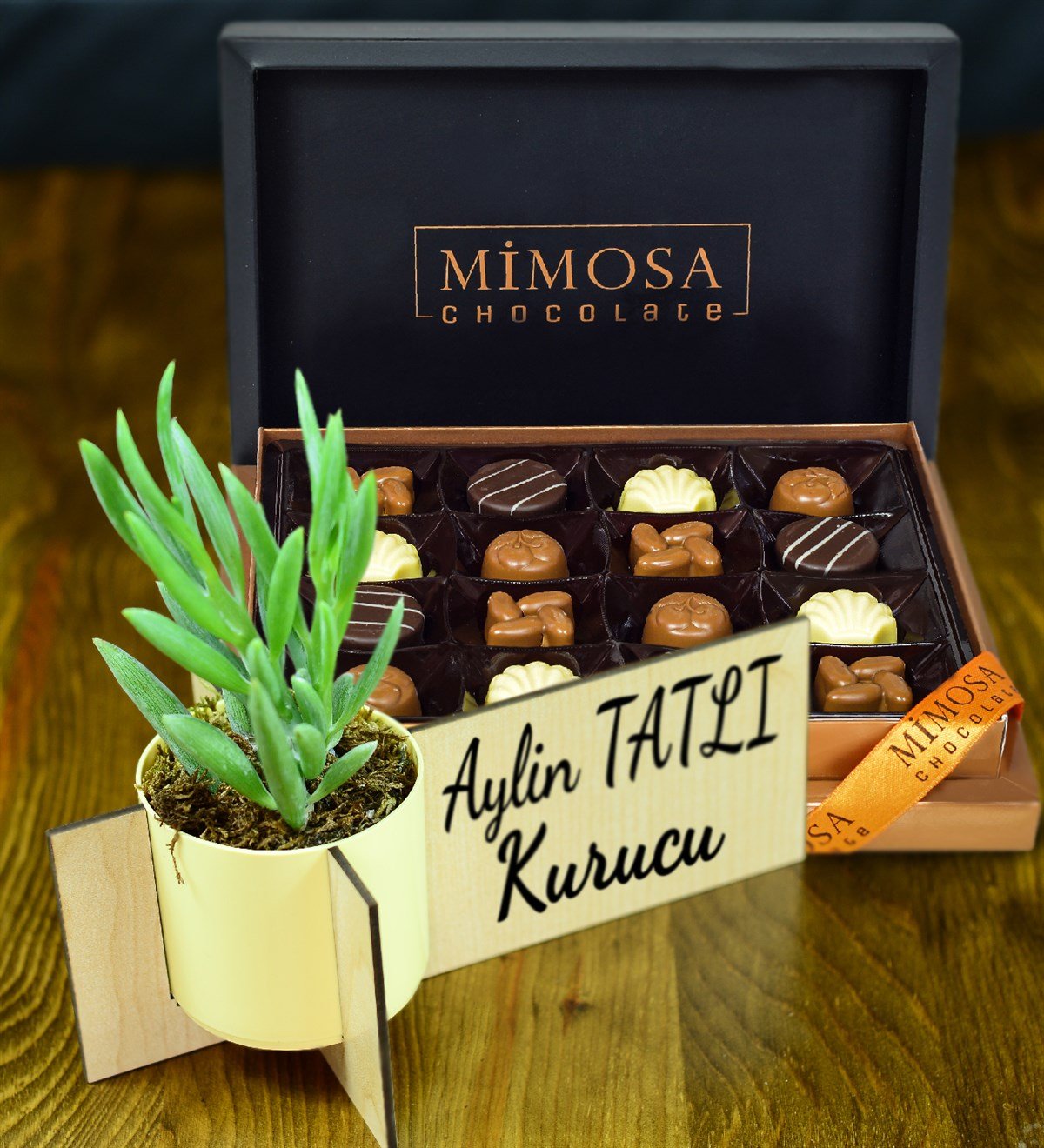 Kişiye Özel Ahşap İsimlik Sukulent & Mimosa Chocolate Fiyatı